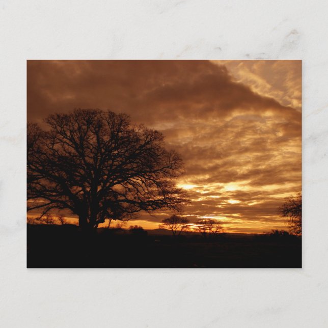 Postal Dorada sunset California (Anverso)