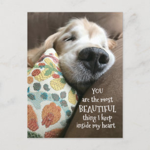 Postal Dorado durmiente recuperador de oro bello amor