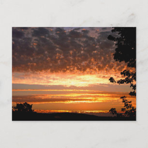 Postal Dorado Morning