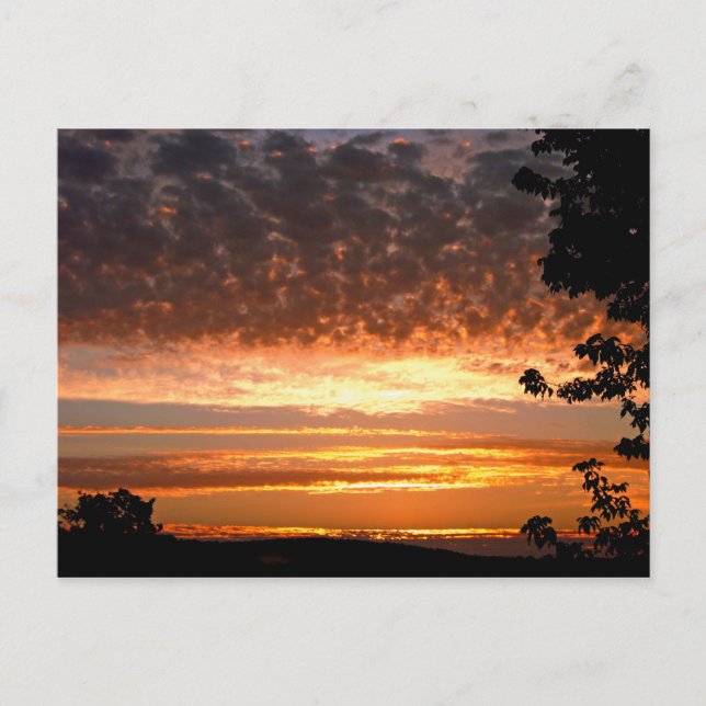 Postal Dorado Morning (Anverso)