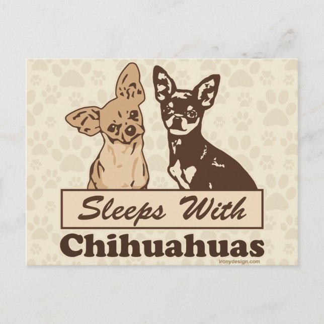 Postal Dormir Con Chihuahuas (Anverso)
