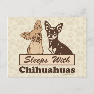 Postal Dormir Con Chihuahuas