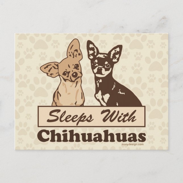 Postal Dormir Con Chihuahuas (Anverso)