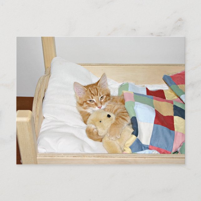 Postal Dormitorios gitanos con peluche (Anverso)