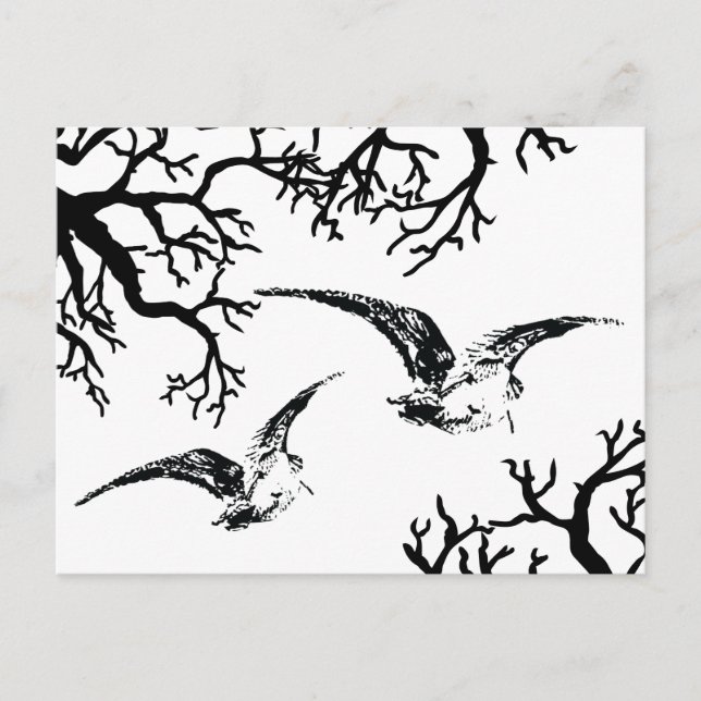 Postal Dos agachadizas en vuelo entre las ramas (Anverso)