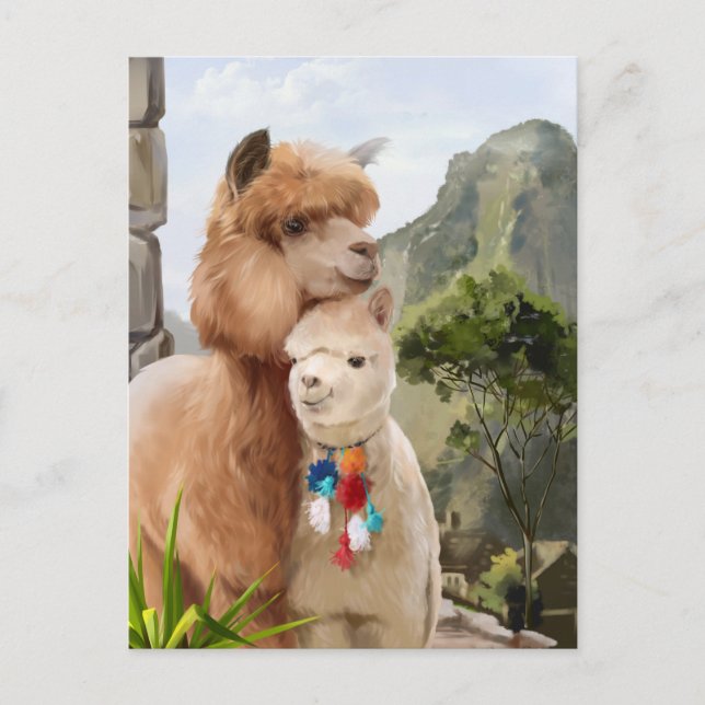 Postal Dos alpacas esponjosas sobre el fondo del lago (Anverso)