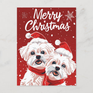 Postal Dos Amigo Bichon Feliz Navidad