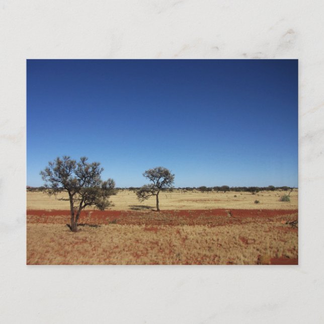 Postal Dos árboles (Anverso)