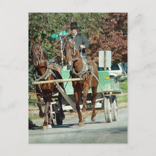 Postal Dos caballos