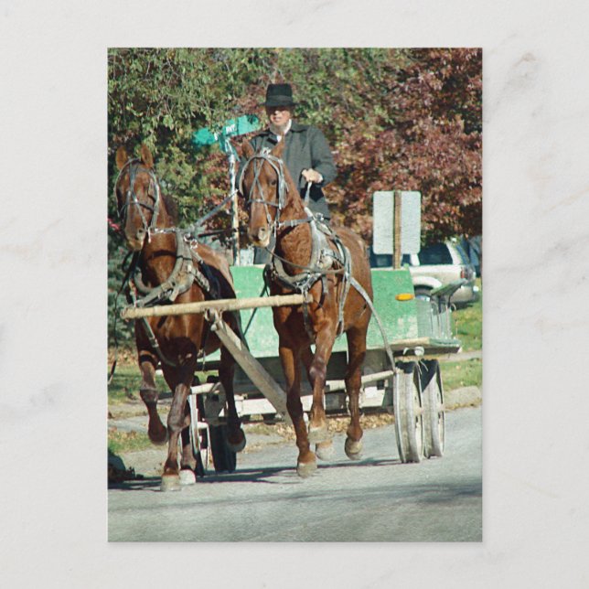 Postal Dos caballos (Anverso)