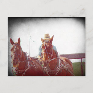 Postal Dos caballos Amish Team Faux Vintage