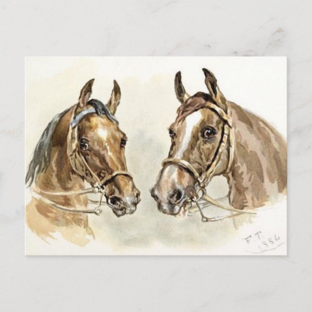 Postal Dos caballos de "Estudios en Pintura Animal" (Anverso)