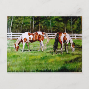 Postal Dos caballos de pintura pastoreando