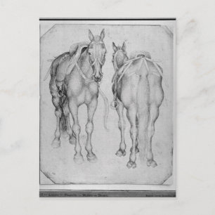 Postal Dos caballos, del The Vallardi Album