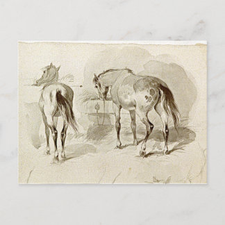 Postal Dos caballos en el pesebre