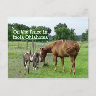 Postal Dos caballos, en la valla en Inola Oklahoma