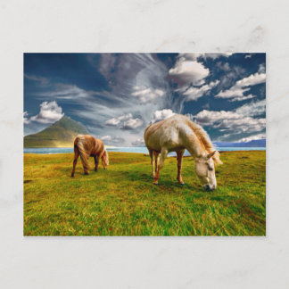 Postal Dos caballos engulliendo en la pastura