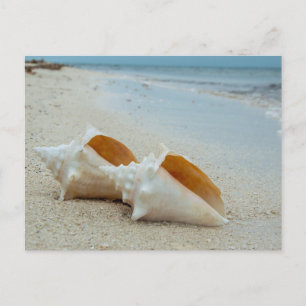 Postal Dos castillos de mar en la playa de Sandy