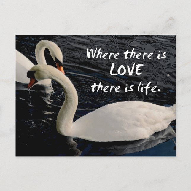 Postal Dos cisnes en el lago (Anverso)