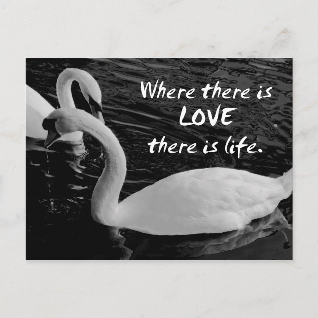 Postal Dos cisnes en el lago (Anverso)