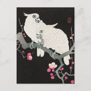 Postal Dos Cockatoo y Plum Blossom de Ohara Koson