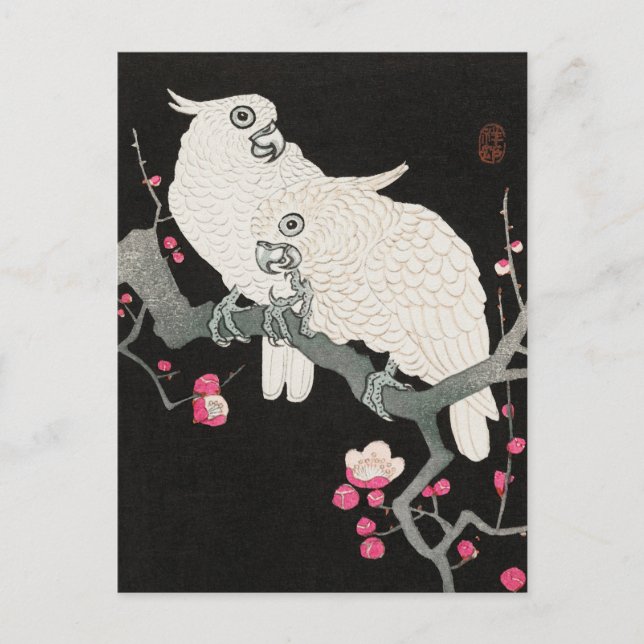 Postal Dos Cockatoo y Plum Blossom de Ohara Koson (Anverso)