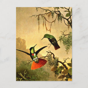 Postal Dos colibríes portadores de visera con capucha,