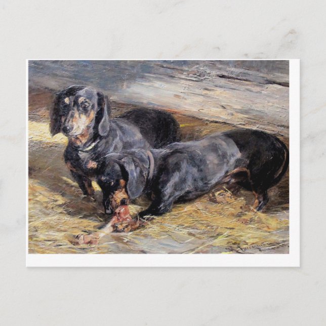 Postal Dos Dachshunds con Bone Hermine Biedermann (Anverso)