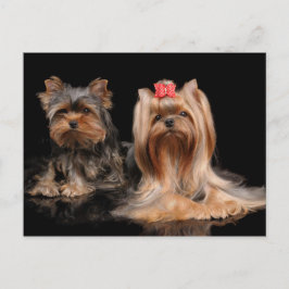 Postal Dos encantadores