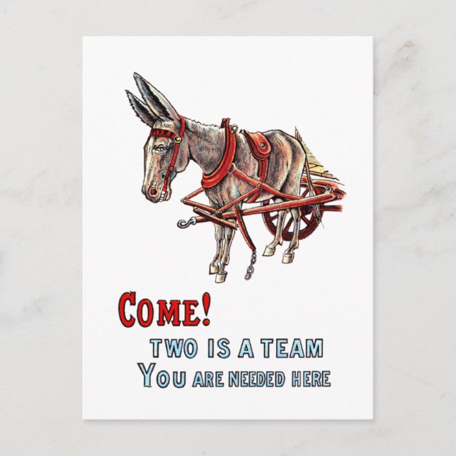 Postal Dos es un equipo (Anverso)