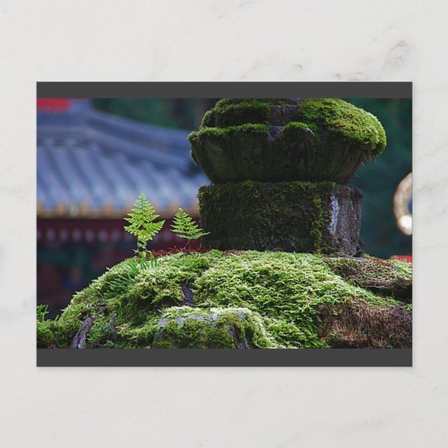 Postal Dos Fern (Anverso)