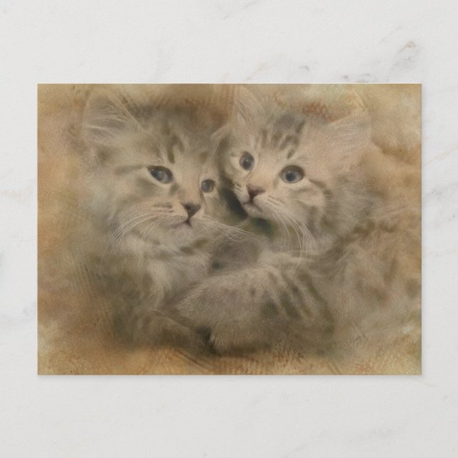 Postal Dos Gatitos Rayados Grises Y Cuidados En Acuarela (Anverso)