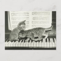 Dos gatitos tocando en el teclado del piano, (B&W)