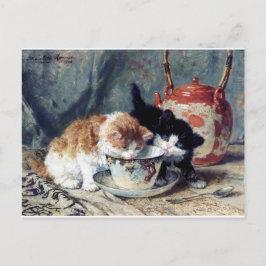 Postal Dos gatitos tomando té fiesta