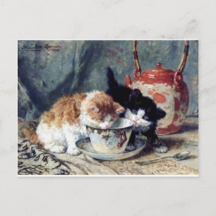 Postal Dos gatitos tomando té fiesta