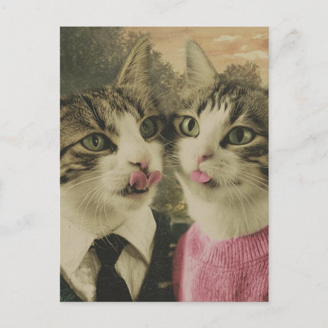 Postal Dos gatos tontos (Anverso)