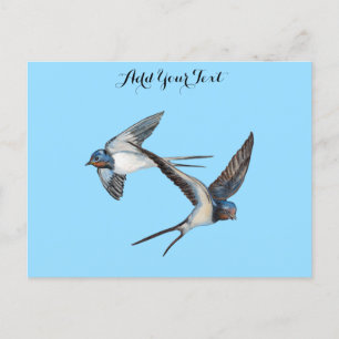 Postal Dos golondrinas de granero volando personalizadas