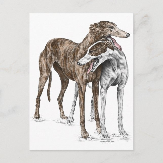 Postal Dos Greyhound Friends Dog Art (Anverso)
