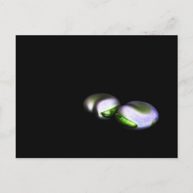 Postal Dos habas grandes pca (Anverso)