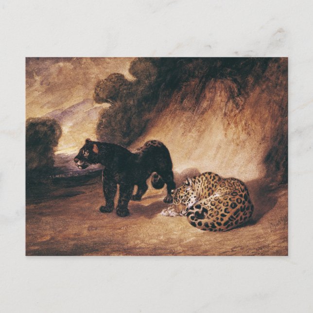 Postal Dos jaguares del Perú (Anverso)