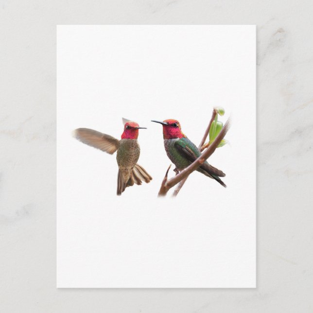 POSTAL DOS JEWELS VOLADORAS (Anverso)