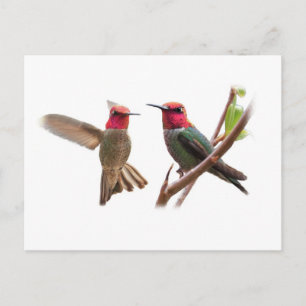 POSTAL DOS JEWELS VOLADORAS