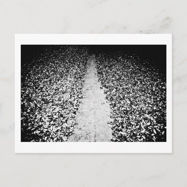 Postal dos lados del cacao (Anverso)