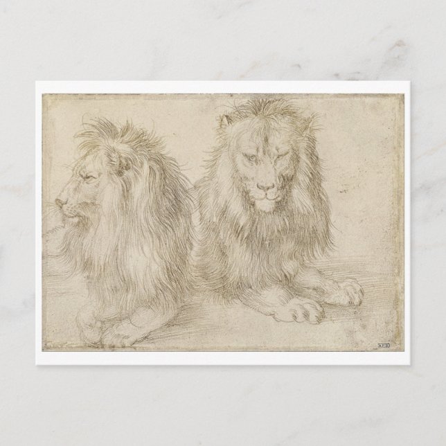 Postal Dos leones sentados por Albrecht Durer (Anverso)