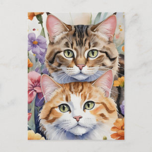 Postal Dos lindas caras de gatito