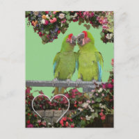 Dos loros verdes cardíacos cardíacos bulos