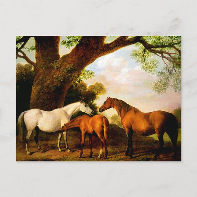 Postal Dos Mares Shafto y un Tonto de George Stubbs (Anverso)