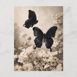 Postal Dos mariposas negras volando sobre flores