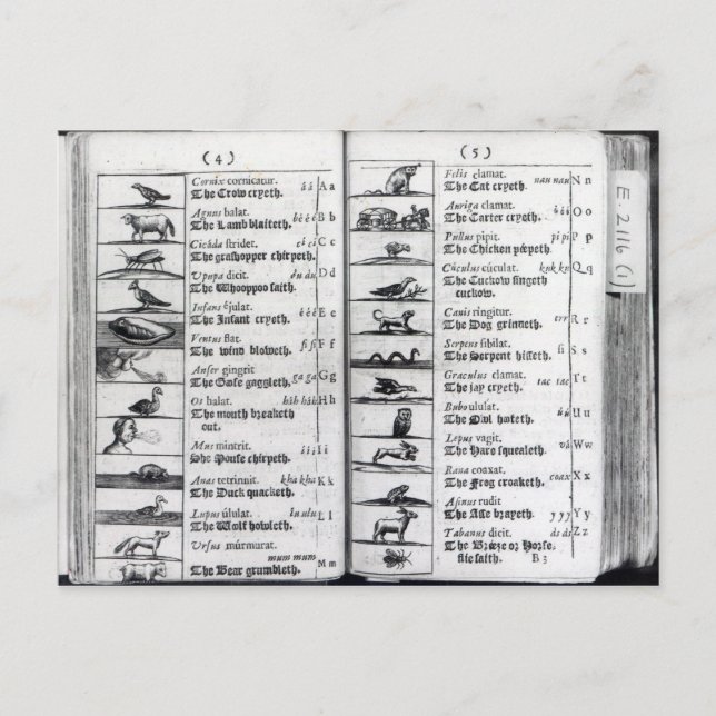 Postal Dos páginas de 'Orbis Sensualium Pictus' (Anverso)