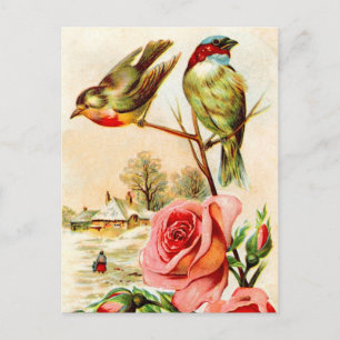 Postal Dos pájaros y Rosas